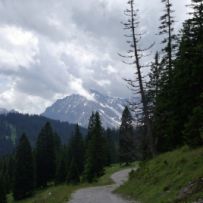 Weg zur Furkla-Alpe