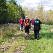 Wandern im Mechernicher Forst