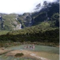 In den heißen Quellen der Alpen 