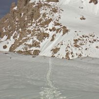 Spuren im Schnee