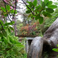 „Glenveagh Nationalpark“ Gärten