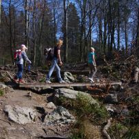 Über den Ternellbach