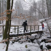 Brüchige, aber festgefrorene Brücken wurden einzeln passiert.