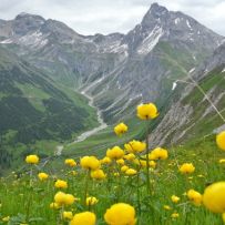 Die Lechtaler Alpen