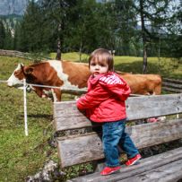 2014dolomiten8wasserfallweg