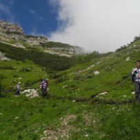 Abstieg von der Forc. Urtisel: Blumenwiesen und Enzian