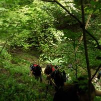 2015ardennen4