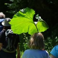 2015naturschutz32