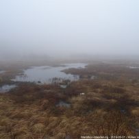 2016-05-01 - Hohes Venn, Marathon-Wanderung #1