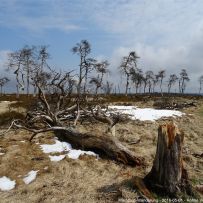 2016-05-01 - Hohes Venn, Marathon-Wanderung #4