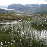 7 Zweite Etappe mit Blick auf Gletscher