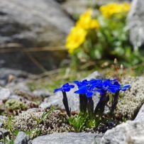 bergferien2016_1