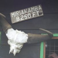 f_Miriakamba