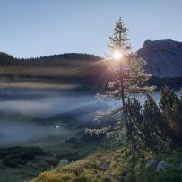 Nebel überm Kärlingerhaus