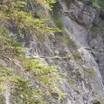 IMG-20250819-WA0041