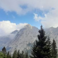 img00006
