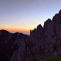 IMG_1175