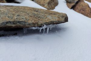 IMG_20230726_124405482