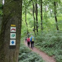 IMG_20250524_141119