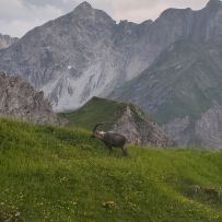 IMG_20250714_204233
