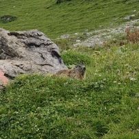 IMG_20250716_171810