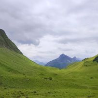 IMG_20250717_053725