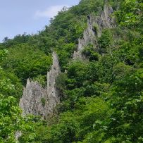IMG_20260524_143256