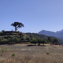 IMG_20260608_095931