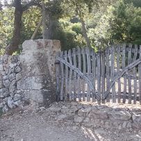 IMG_20260611_085356