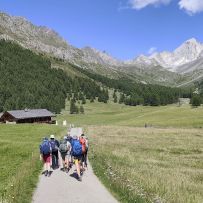 IMG_20260722_162329