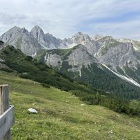IMG_8951