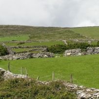 Irland Durch Wiesen und Weiden