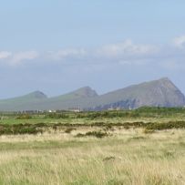 Irland Look at sister Marlies!