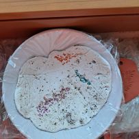 Linn Nees_20250510_201956