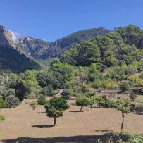 Sabine "Mallorca Tour" 2026