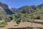 GR 221 – „Ruta de Pedra en Sec“ – Mallorca - Durch die wilde Serra de Tramuntana -11 Tage Trekkingtour