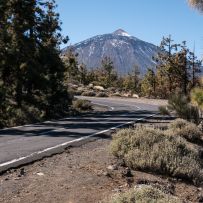 Teide