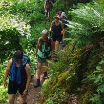 Trail IMG_20260524_115911