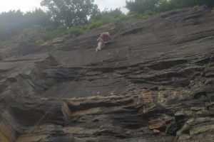 WhatsApp Image 2025-10-19 at 11.50.58